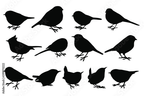 Hand drawn vector silhouettes of small forest birds on white background. Black and white  stock illustration of wild birds. photo