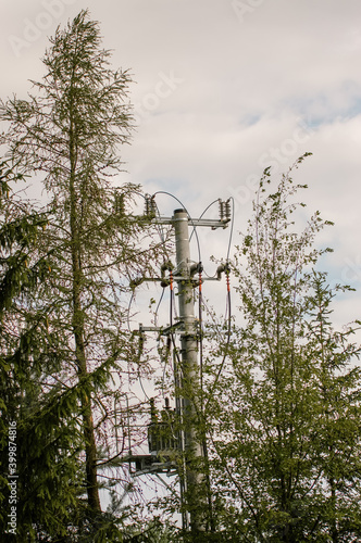 Słup elektryczny stojący wśród drzew na tle błękitnego nieba
