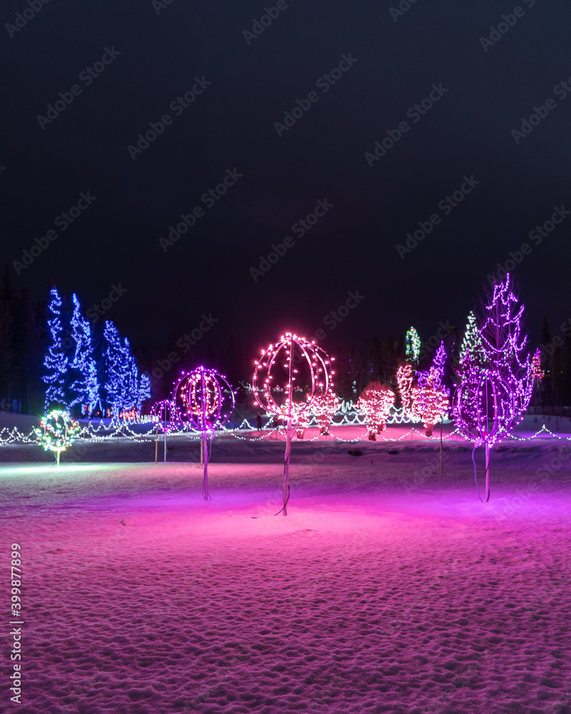 Stunning bright purple, blue and pink Christmas lights with snowy ground below and dark night
