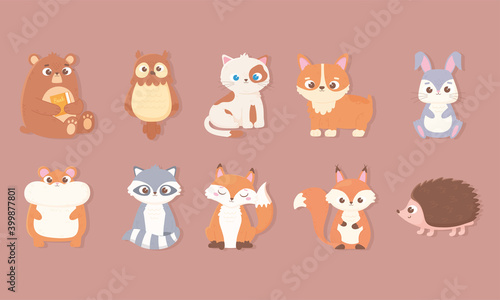 cute animals icons set with bear rabbit owl cat dog hamster fox raccoon squirrel and hedgehog