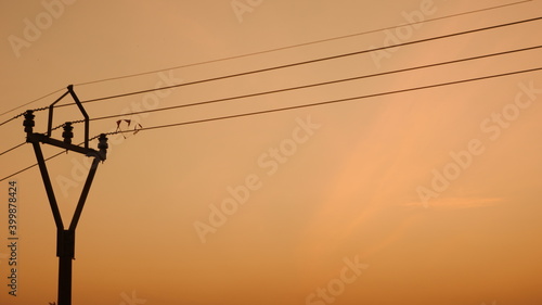 Electricity poles in the afternoon
