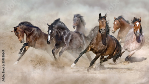 Horse herd  galloping on sandy dust against sky