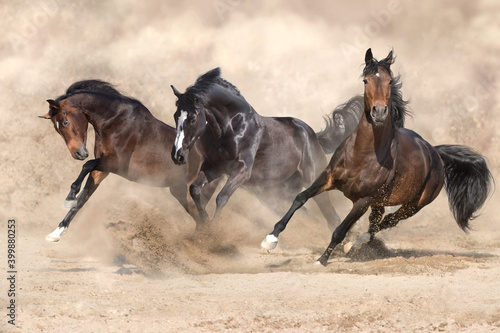 Fototapeta Naklejka Na Ścianę i Meble -  Horse herd  galloping on sandy dust against sky