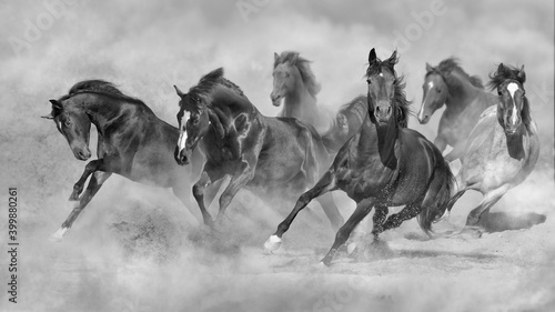 Bilde på lerret herd of horses in the desert