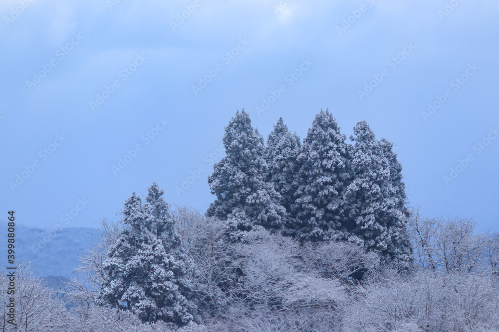 雪景色　冬の朝