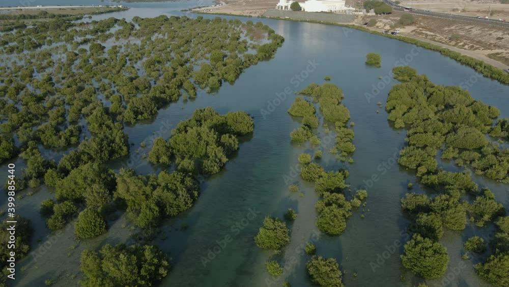 Top view of Umm Al Quwain Mangroves, United Arab Emirates, UAE mangroves. 4k Footage Top view of Umm Al Quwain Mangroves, United Arab Emirates, UAE mangroves. 4k Footage