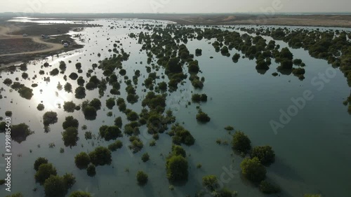 Top view of Umm Al Quwain Mangroves, United Arab Emirates, UAE mangroves. 4k Footage   photo
