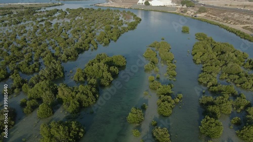 Top view of Umm Al Quwain Mangroves, United Arab Emirates, UAE mangroves. 4k Footage   photo