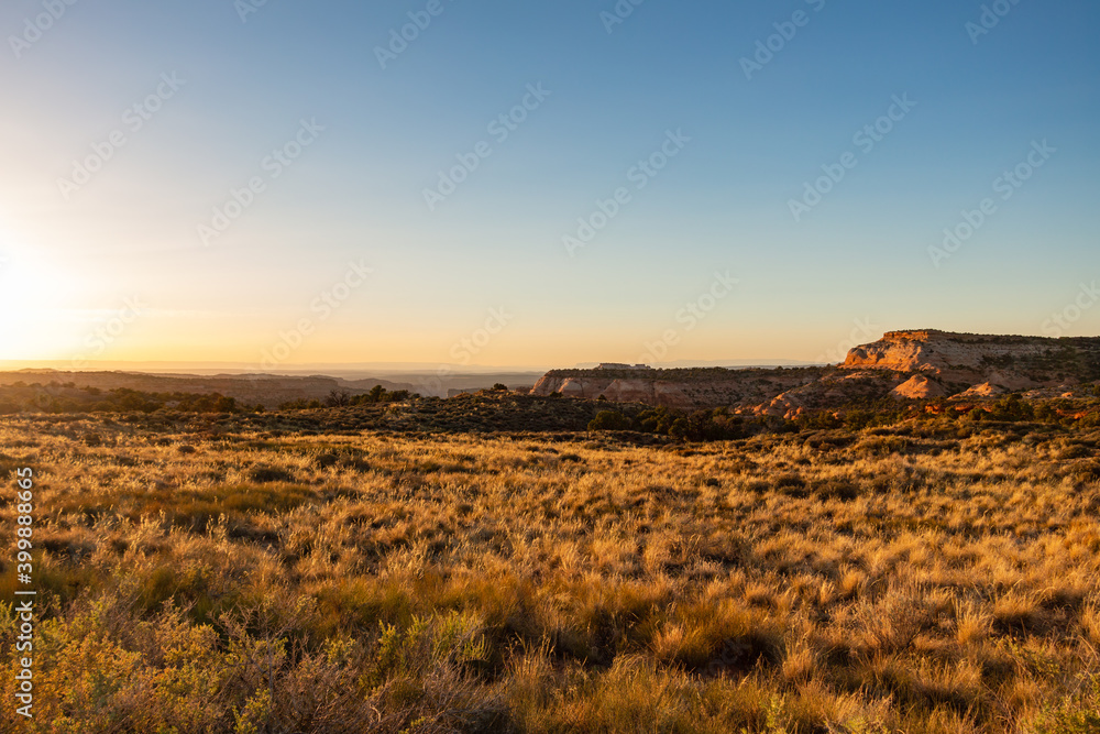 An open desert meadow near Canyonlands National Park