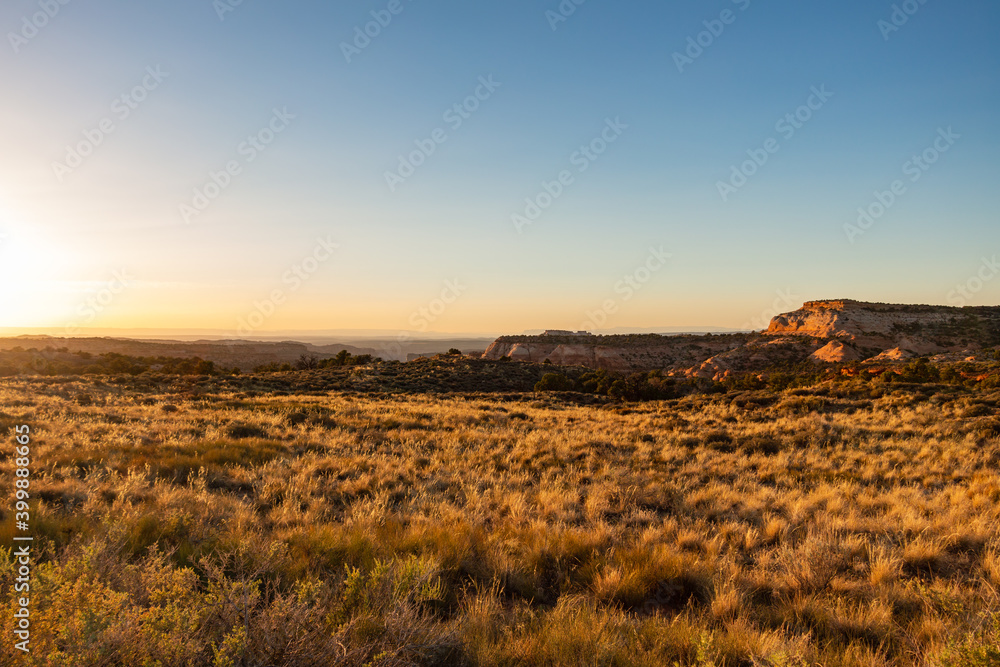 Obraz premium An open desert meadow near Canyonlands National Park