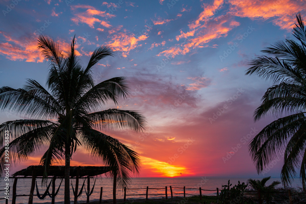 A vibrant tropical sunset on the beach in Mexico with Palm trees
