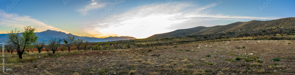 panoramic view of fields, almond trees and in the background mountains at sunset.