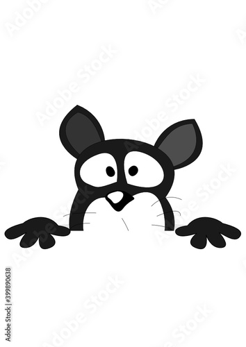 Katze