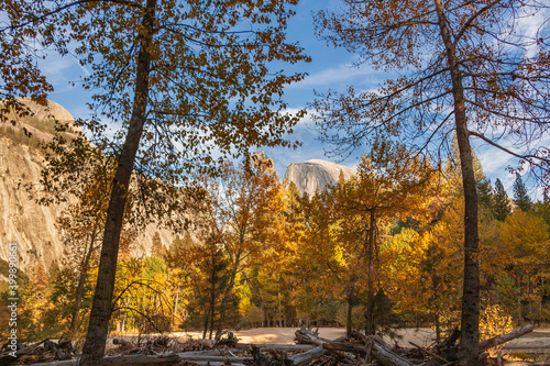 Canvas Print Half Dome and trees among an autumn scene in Yosemite