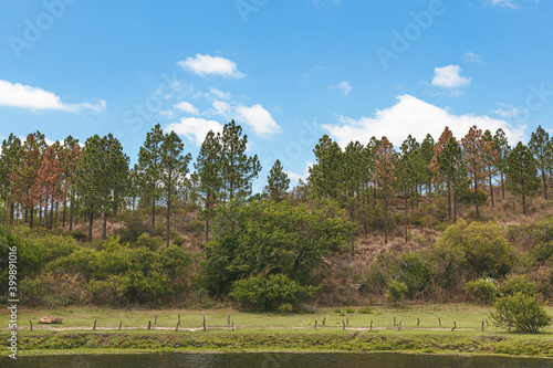 DIA DE CAMPO EN SIERRAS DE LA PROVINCIA DE CORDOBA ARGENTINA EN DIA DESPEJADO CON POCAS NUBES photo