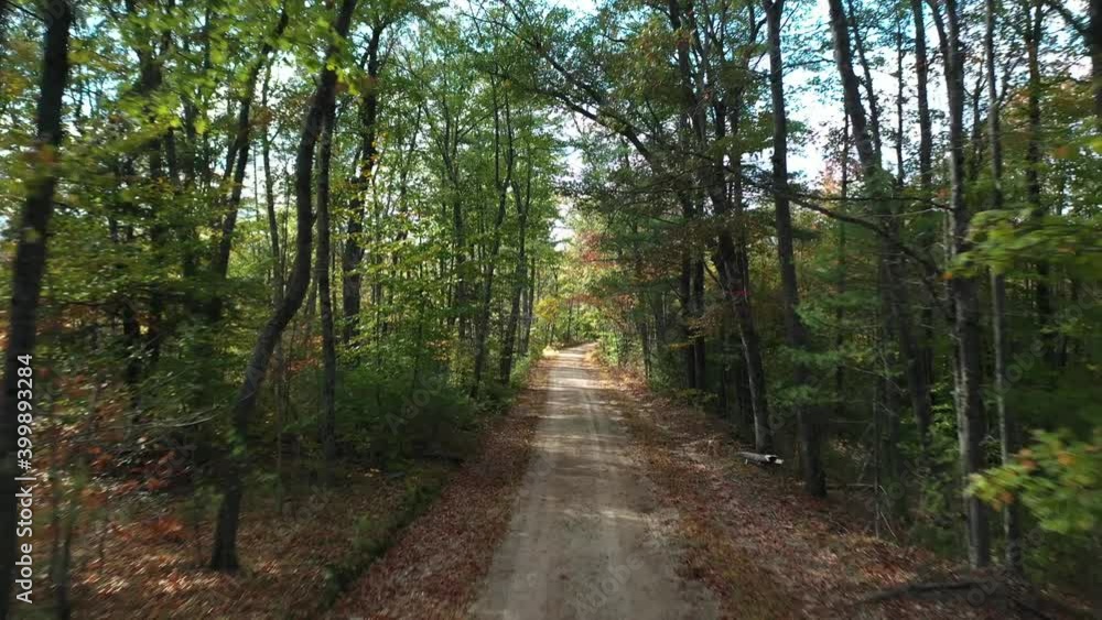 Flying Above Dusty Road in the Middle of Forest on Sunny Autumn Day, Aerial View of Pathway in Rural Countryside, Drone Shot Flying Above Dusty Road in the Middle of Forest on Sunny Autumn Day, Aerial View of Pathway in Rural Countryside, Drone Shot