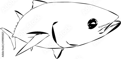 Modern Bluefin Tuna Outline Design