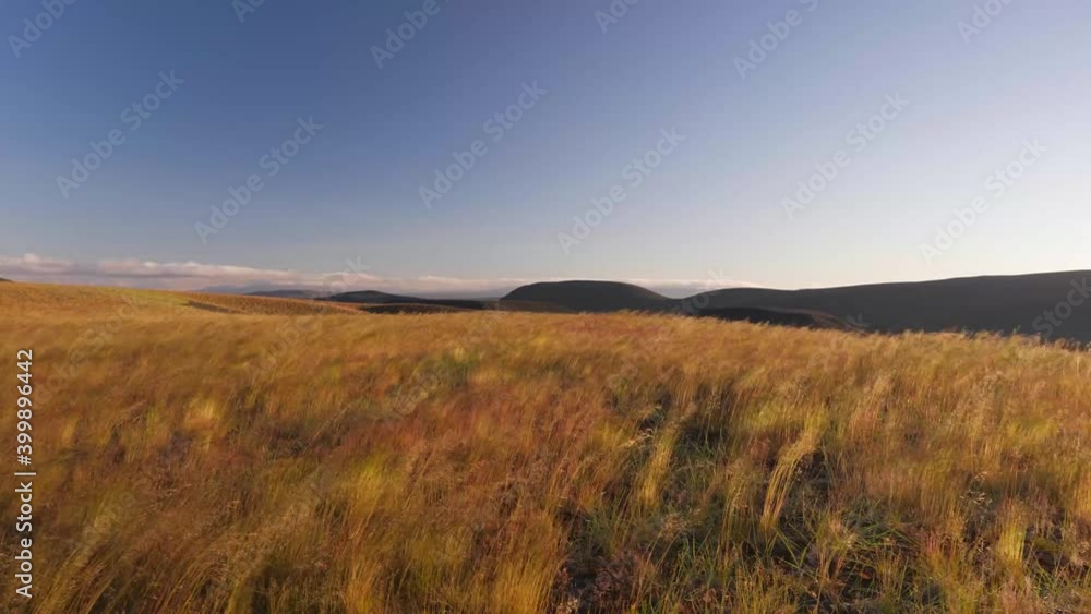 Dry grassy fields battered by northern winds in Iceland along the Ring Road Route One, Locked shot Dry grassy fields battered by northern winds in Iceland along the Ring Road Route One, Locked shot