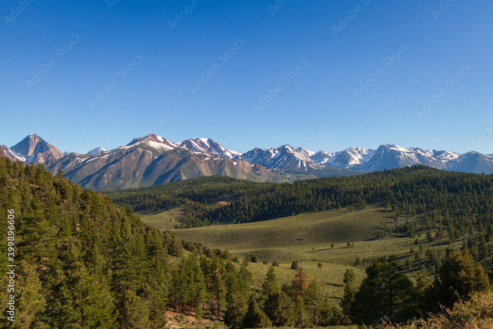 Green hills and forest with snowy mountains