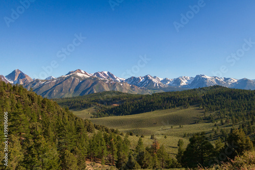 Green hills and forest with snowy mountains