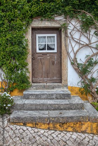 Brown Door of Medieval Portugal