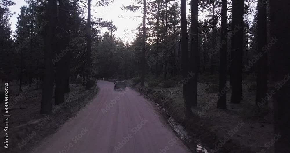 Suv entering haunted forest of Delamar California USA Suv entering haunted forest of Delamar California USA