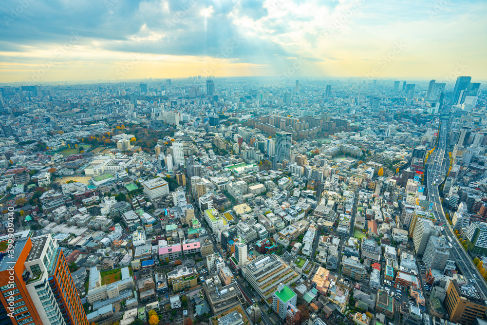 Fototapeta premium 【六本木ヒルズより】東京都内、都市景観/世田谷区方面