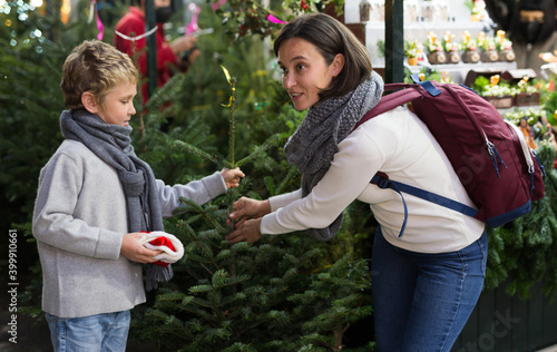 Friendly family of mother and preteen son having fun on outdoor fair, choosing fir tree for New Year celebration..