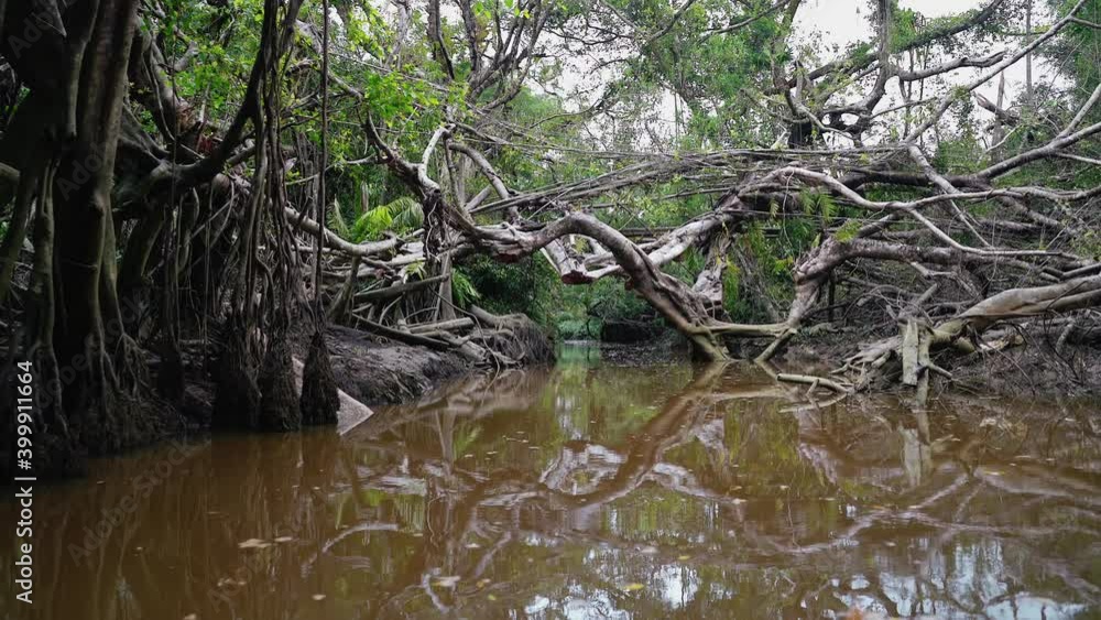 Canoeing Excursion at Sang Ne Canal Phang Nga Canoeing Excursion at Sang Ne Canal Phang Nga