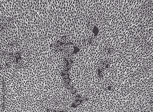 Abstract cellular background. Cell membrane structure in motion. 3D scientific vector illustration for medicine, science, technology or chemistry.
