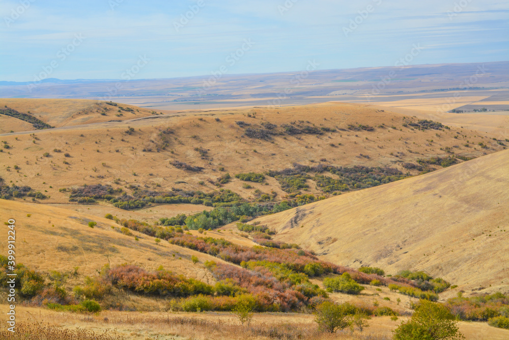Obraz premium The landscape of the Blue Mountains in northeastern Oregon