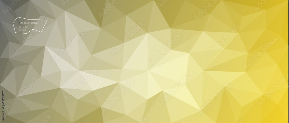 Obraz premium Vector abstract polygonal Ultimate Grey background. Illuminating geometric shapes. Low poly style. Transition from light to dark from the center. Banner, web design. Copyspace.