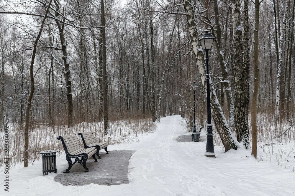 Alley with snow-covered trees and benches in the city park. 