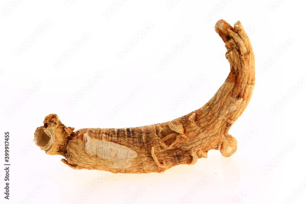Ginseng on a white background Ginseng on a white background