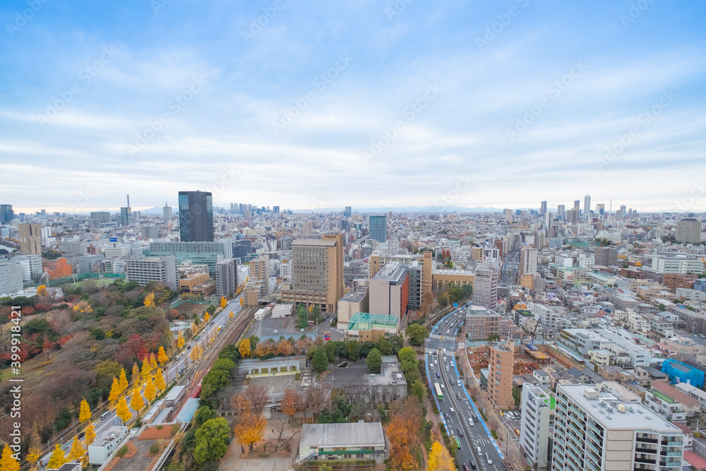 Fototapeta premium 【東京都】文京区シビックセンターより新宿・池袋方面【2020冬】
