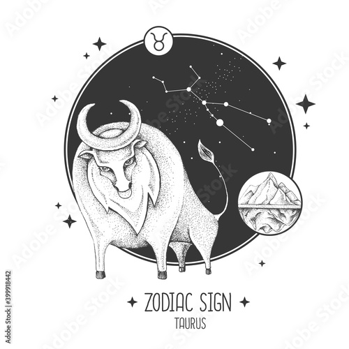 Modern magic witchcraft card with astrology Taurus zodiac sign. Realistic hand drawing bull head. Zodiac characteristic