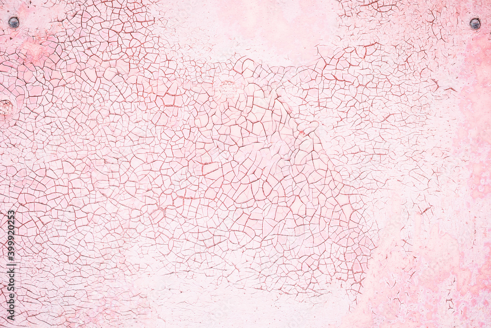 Obraz premium Old grungy cracked white and pink weathered wall paint peeling off rusted metal sheet with two screws. Textured background for posters and bloggers full frame