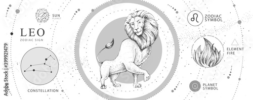 Modern magic witchcraft card with astrology Leo zodiac sign. Realistic hand drawing lion head. Zodiac characteristic