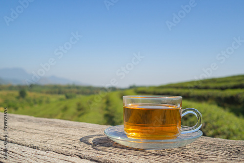 A cup of hot tea on cement with the tea plantation background. Space for text. Close-up photo