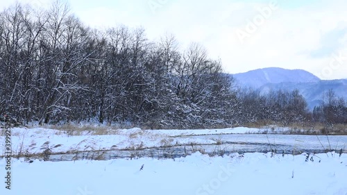 Wallpaper Mural 冬　川の流れ　雪景色　青空 Torontodigital.ca