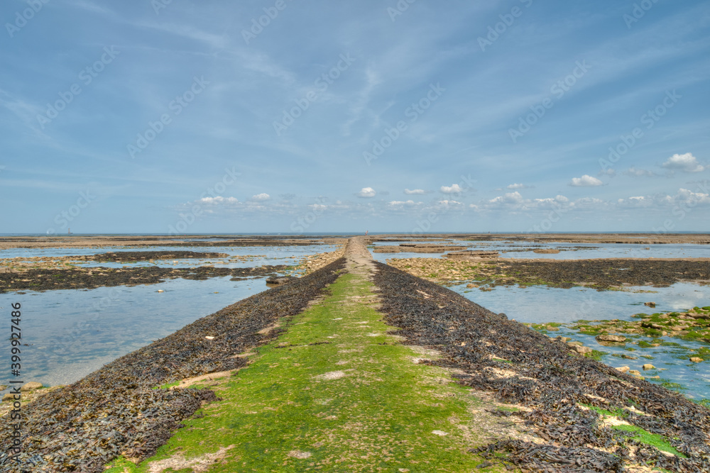 chemin vers horizons sur plage de l'île de Ré en été en France 