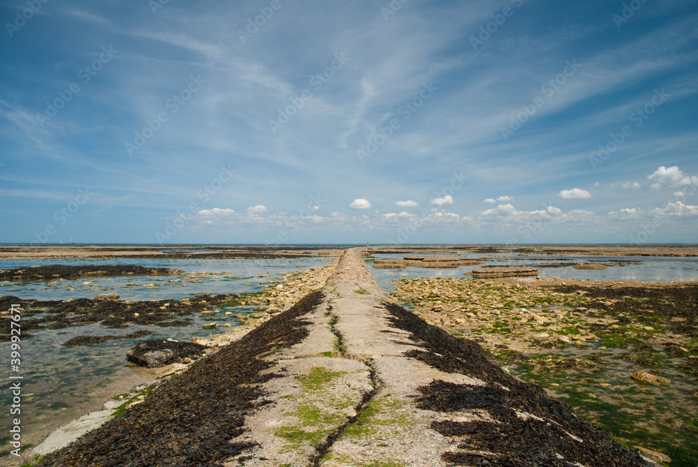 chemin vers horizons sur plage de l'île de Ré en été en France chemin vers horizons sur plage de l'île de Ré en été en France