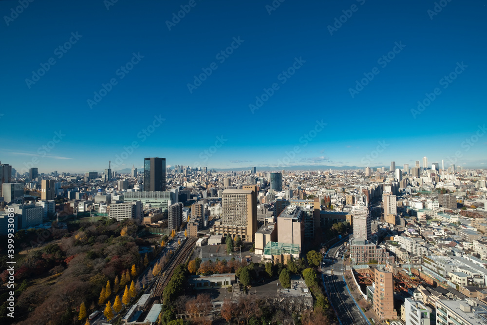 Obraz premium 【東京都】文京区シビックセンターより新宿・池袋方面【2020冬】