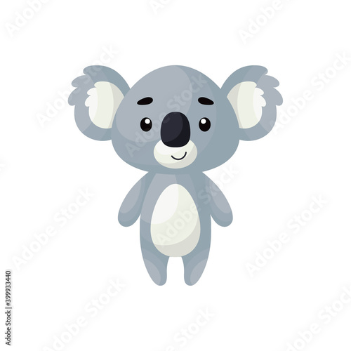 Photography Cute little koala on white background