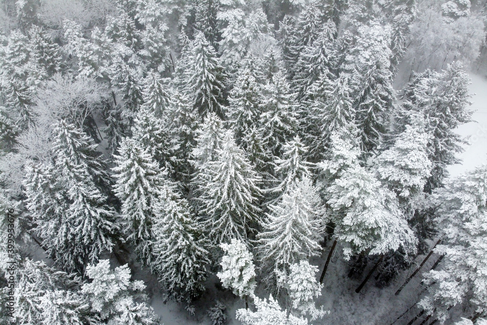 Aerial view of winter forest with snowy trees. Winter nature Aerial view of winter forest with snowy trees. Winter nature