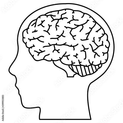 脳と頭
