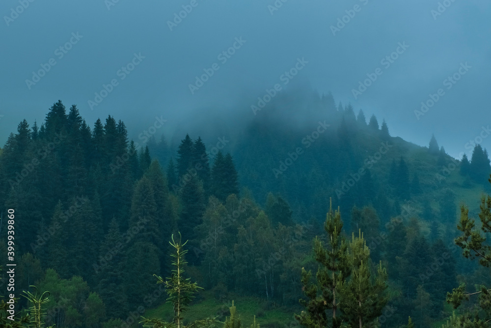 The mountain top and forest are hidden in blue fog. Mystical landscape