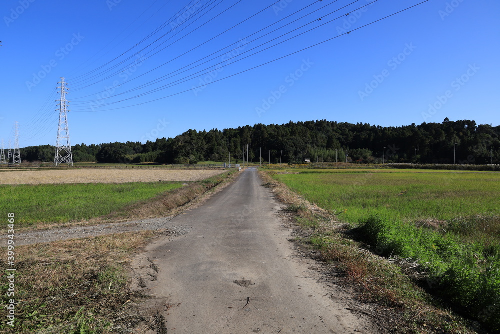 Fototapeta premium 田舎道