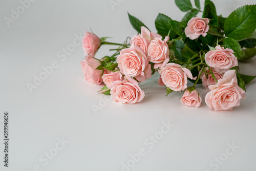 delicate bouquet of pink roses on light background © Gioia