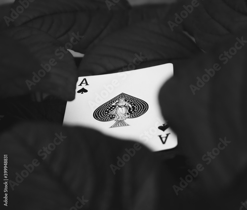 ace of spades